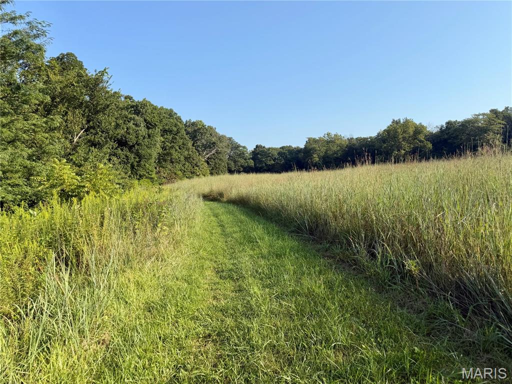 0 County Road Strasburg, IL 62465 - Photo 32 of 97 Gallery Image 32