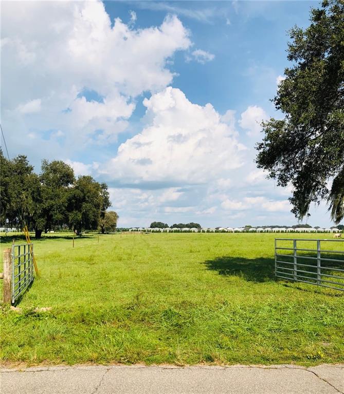 723 Co Road Webster, FL 33597 - Photo 1 of 1