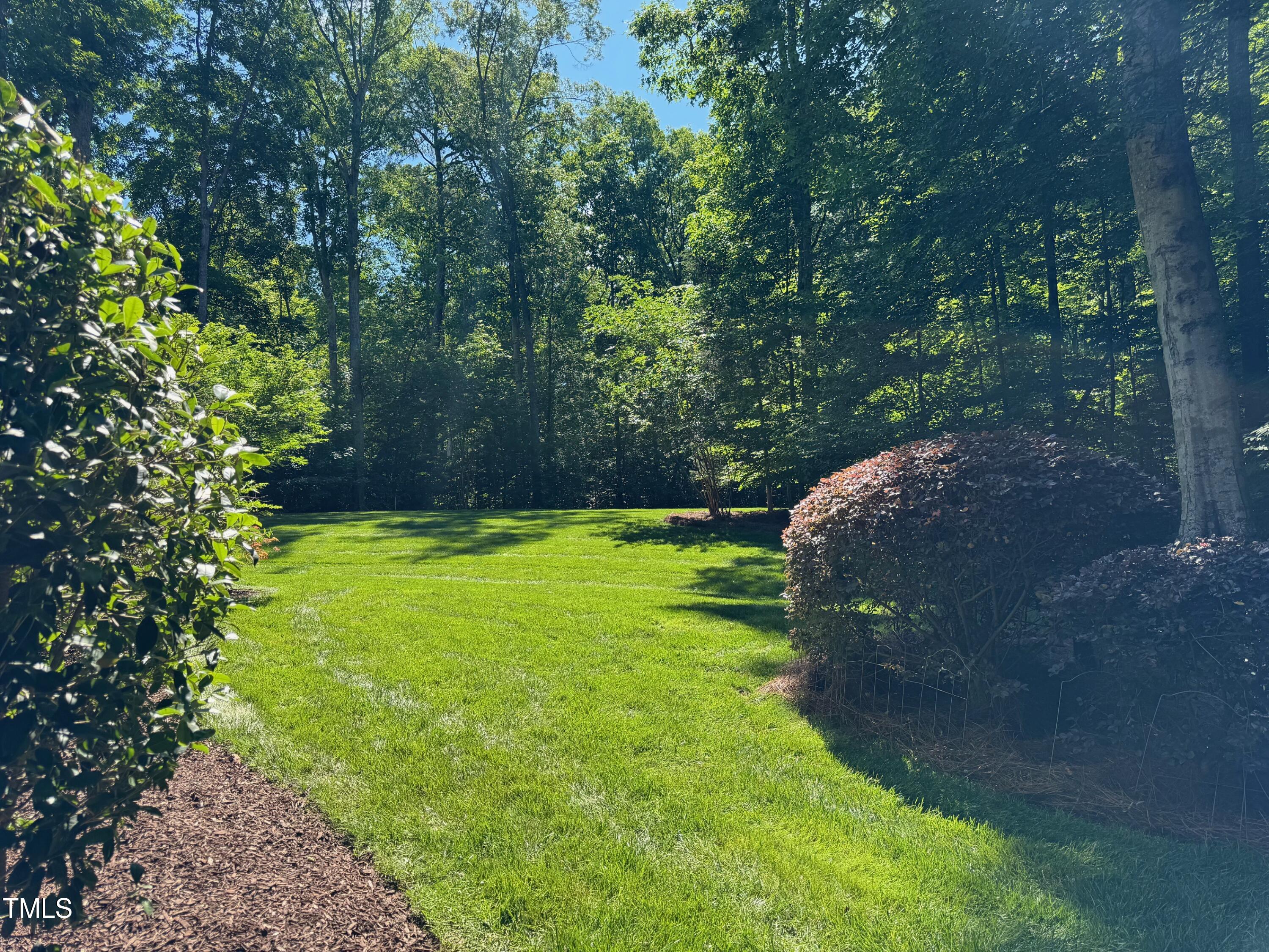 6909 Bartons Bend Way Raleigh, NC 27614 - Photo 77 of 80 Professionally Landscaped
