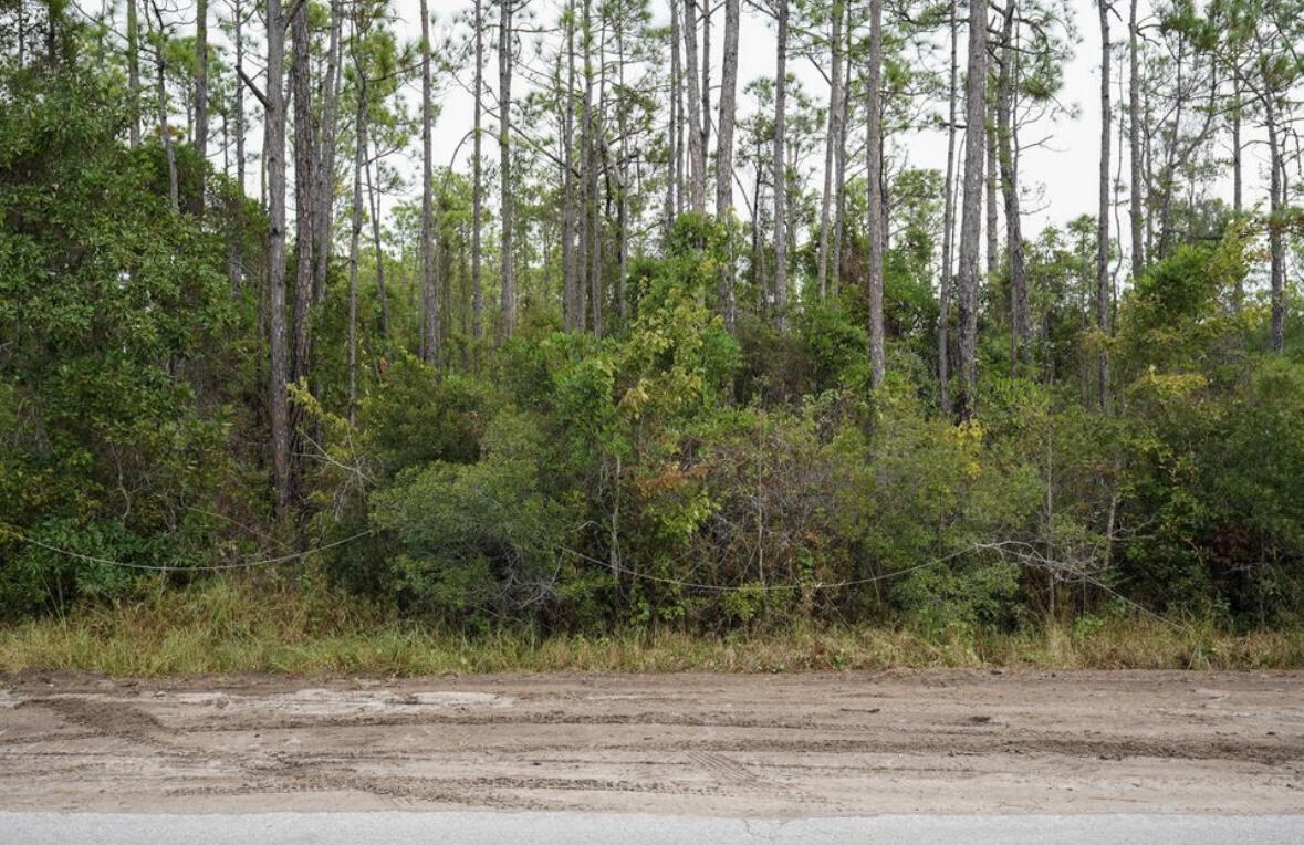 0 Indian Woman Road Santa Rosa Beach, FL 32459 - Photo 3 of 4 a view of a yard