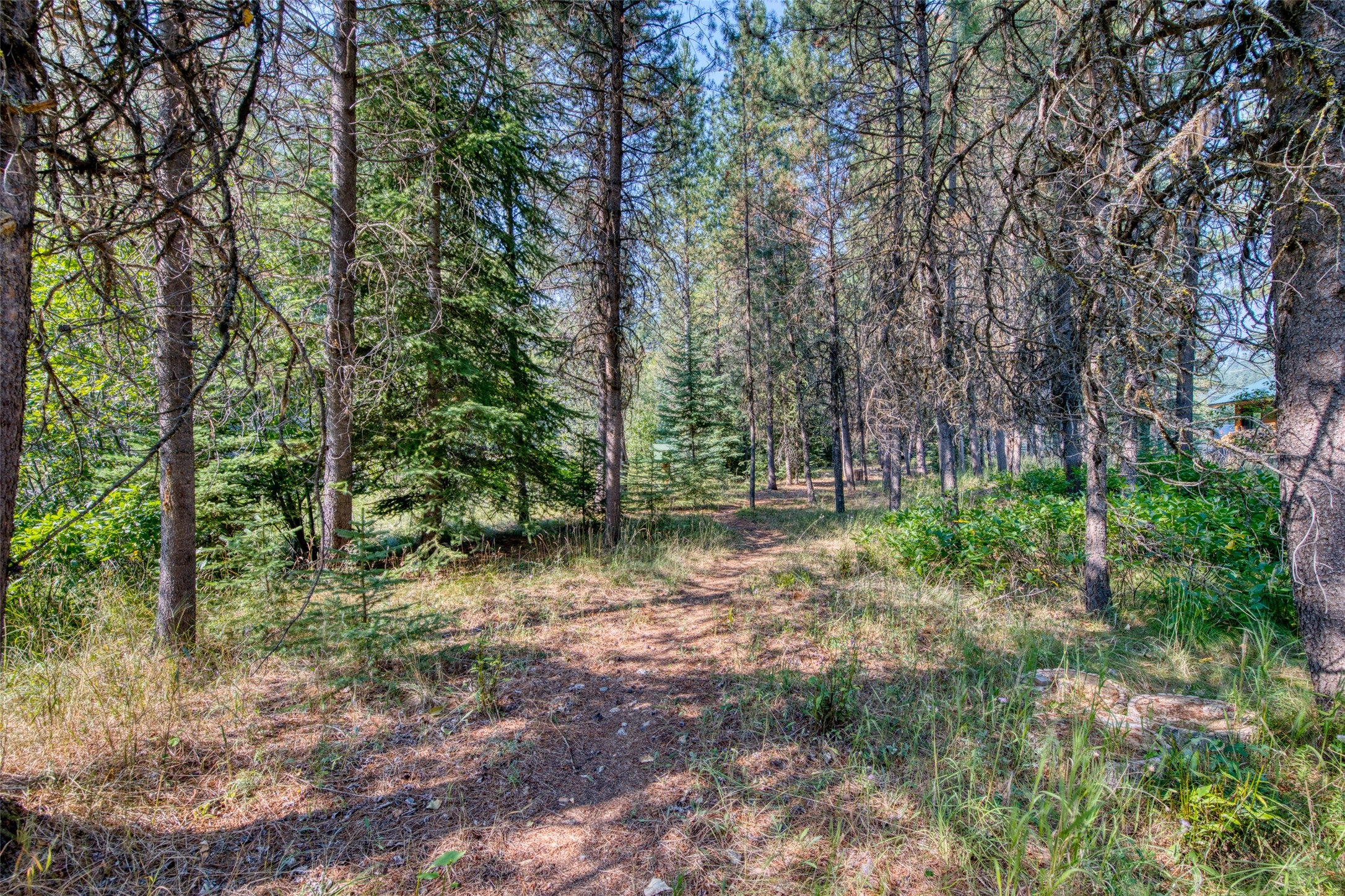 7026 Nez Perce Road Darby, MT 59829 - Photo 5 of 58 Gallery Image 5
