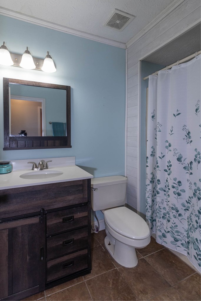 191 Willow Beach Road Ellerslie, GA 31807 - Photo 8 of 18 Hall Bath