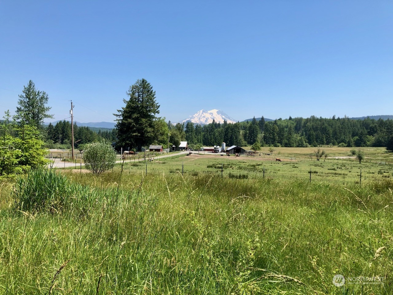 48225 Alder Cutoff Road East Eatonville, WA 98328 - Photo 2 of 10 a view of a grassy field with trees