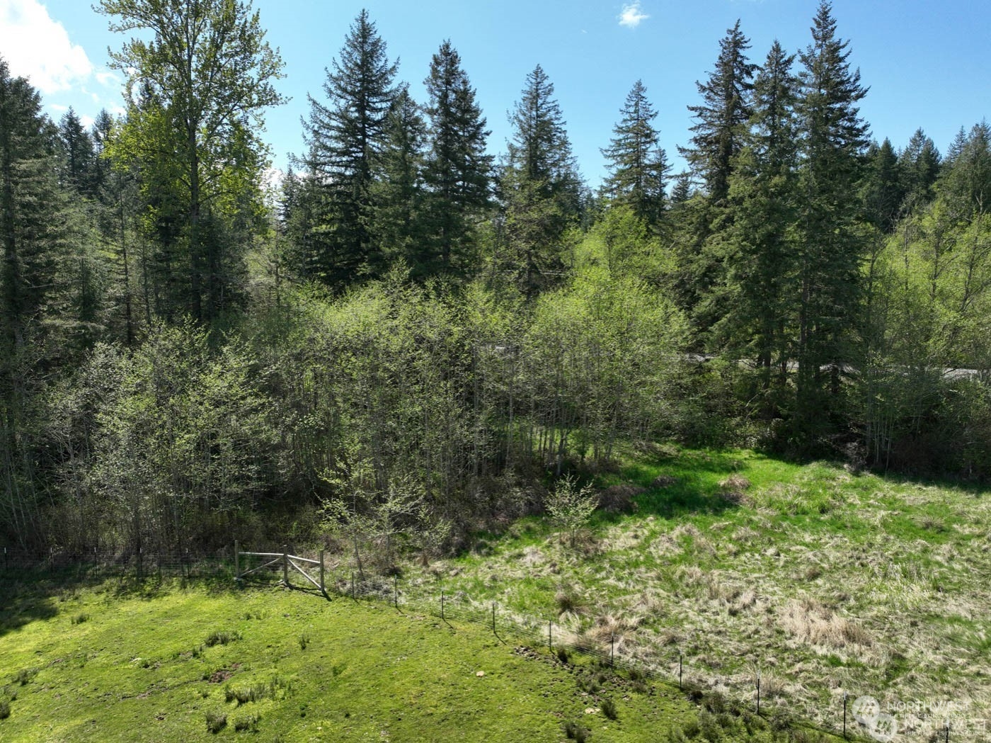 48225 Alder Cutoff Road East Eatonville, WA 98328 - Photo 3 of 10 a view of a garden with a tree