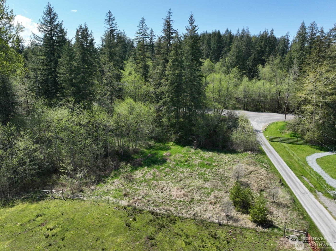 48225 Alder Cutoff Road East Eatonville, WA 98328 - Photo 4 of 10 a view of a yard with trees in the background