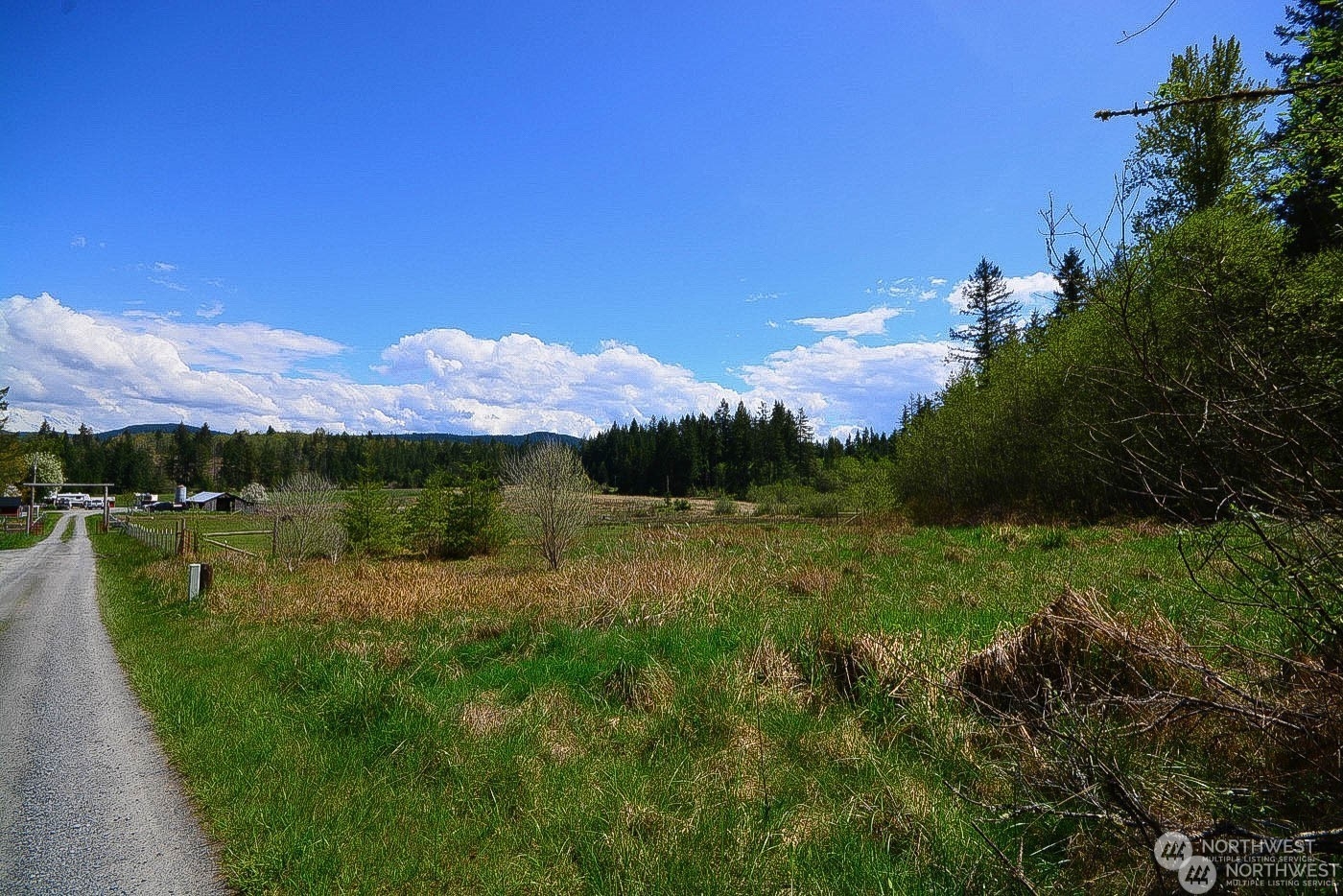 48225 Alder Cutoff Road East Eatonville, WA 98328 - Photo 5 of 10 a view of a lake with a mountain in the background