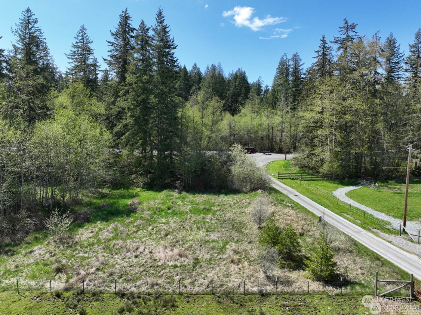 48225 Alder Cutoff Road East Eatonville, WA 98328 - Photo 6 of 10 a view of a yard with potted plants and large trees