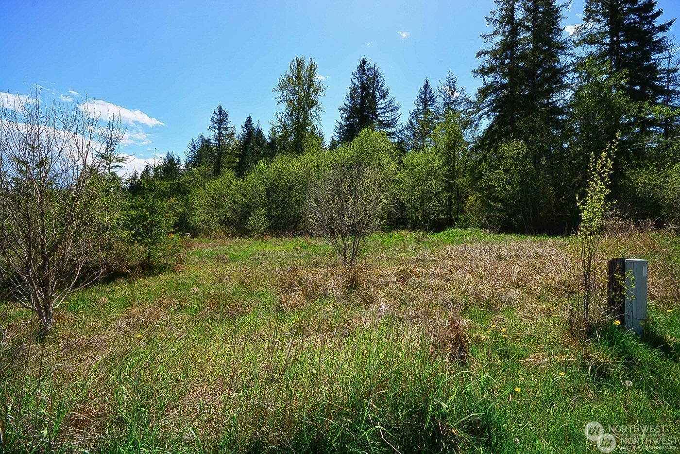 48225 Alder Cutoff Road East Eatonville, WA 98328 - Photo 7 of 10 a view of a green field with lots of bushes