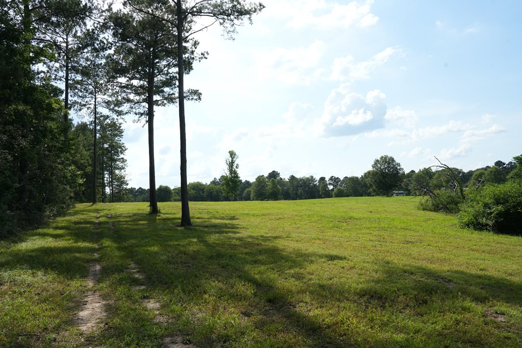 583 Jayess Ms 39641 Ruth, MS 39662 - Photo 6 of 19 Photo 6