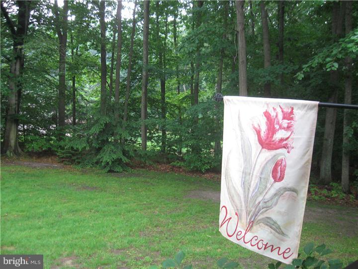 43 Chambers Road Cream Ridge, NJ 08514 - Photo 19 of 25