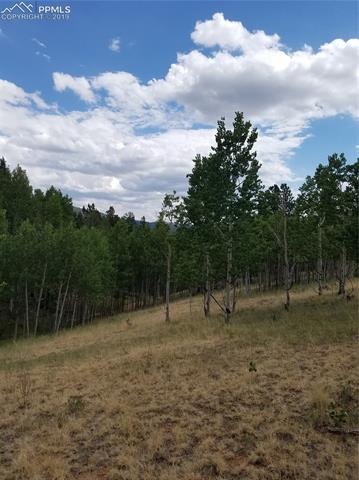 826 Princess Road Cripple Creek, CO 80813 - Photo 10 of 33 Gallery Image 10