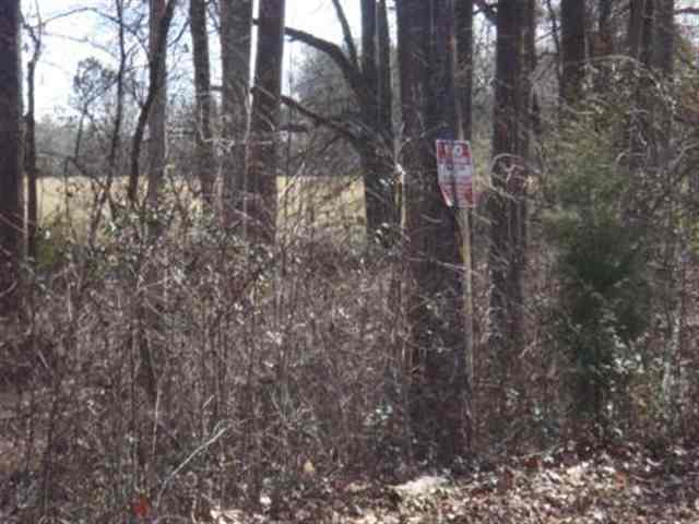 119 Benfields Ridge Williamston, SC 29697 - Photo 3 of 4