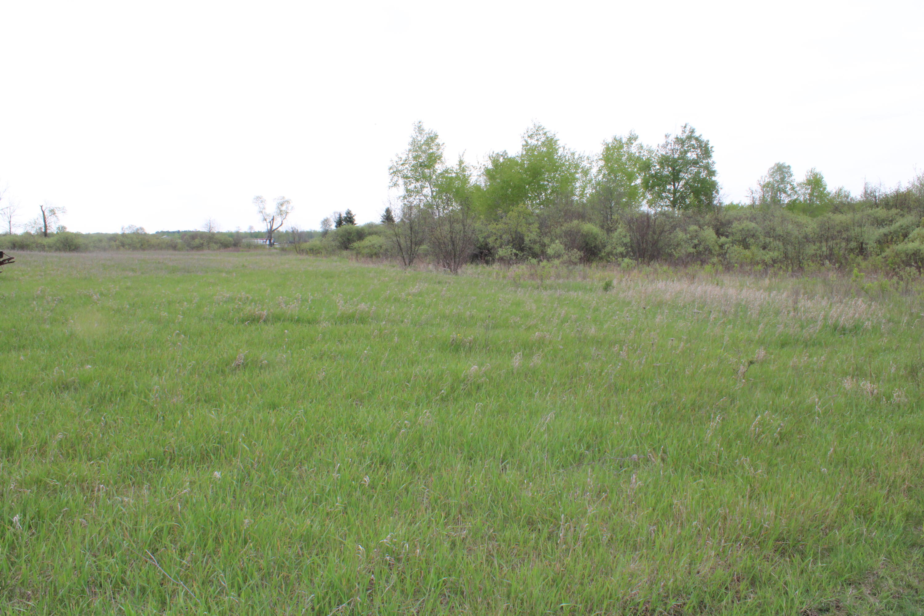 Alabaster Road Turner, MI 48765 - Photo 15 of 21 IMG_2284