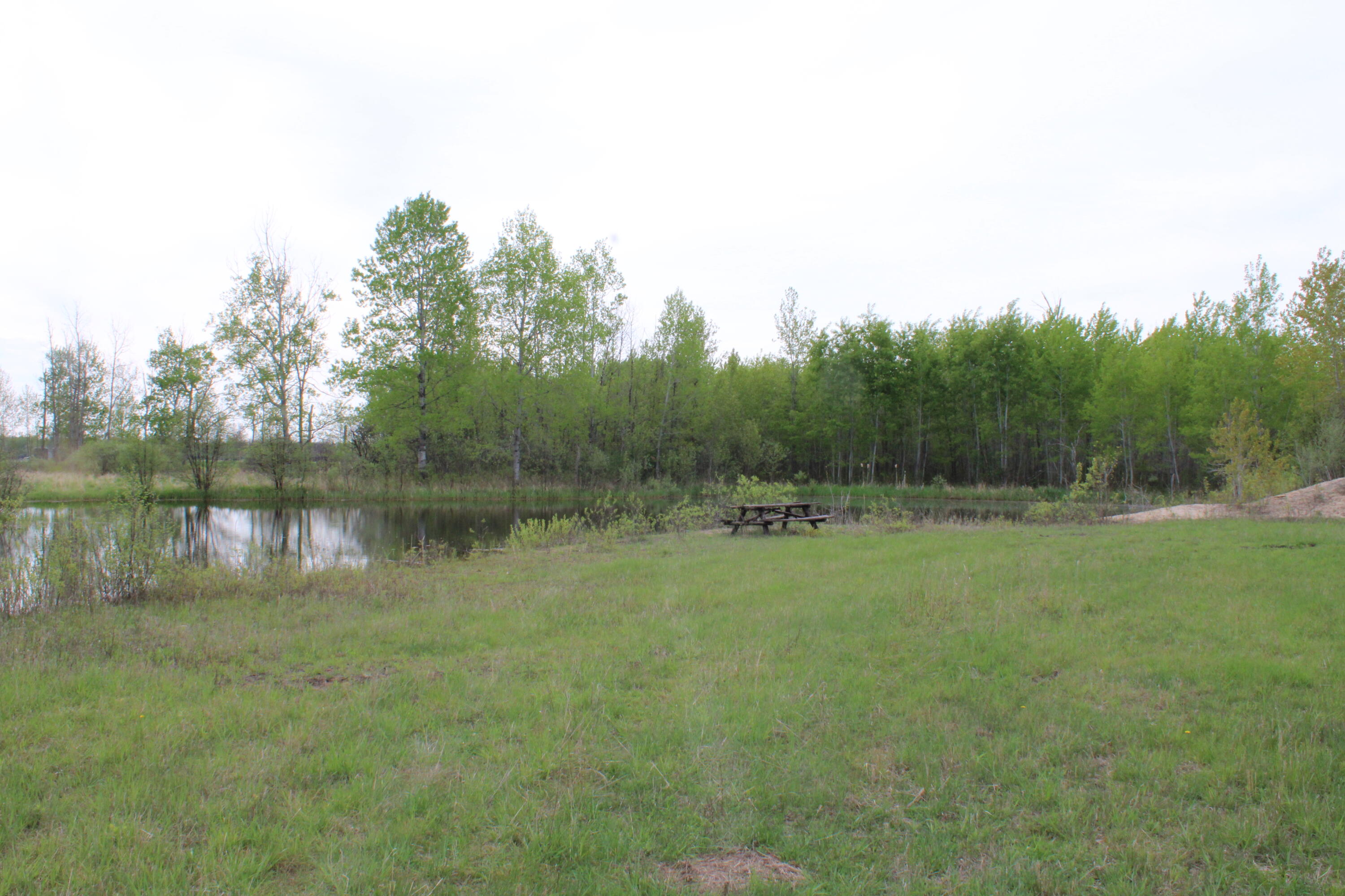 Alabaster Road Turner, MI 48765 - Photo 16 of 21 IMG_2286