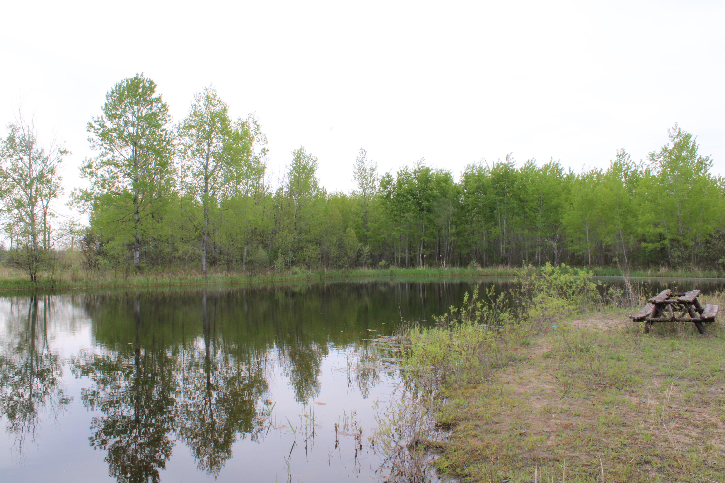 Alabaster Road Turner, MI 48765 - Photo 17 of 21 IMG_2287