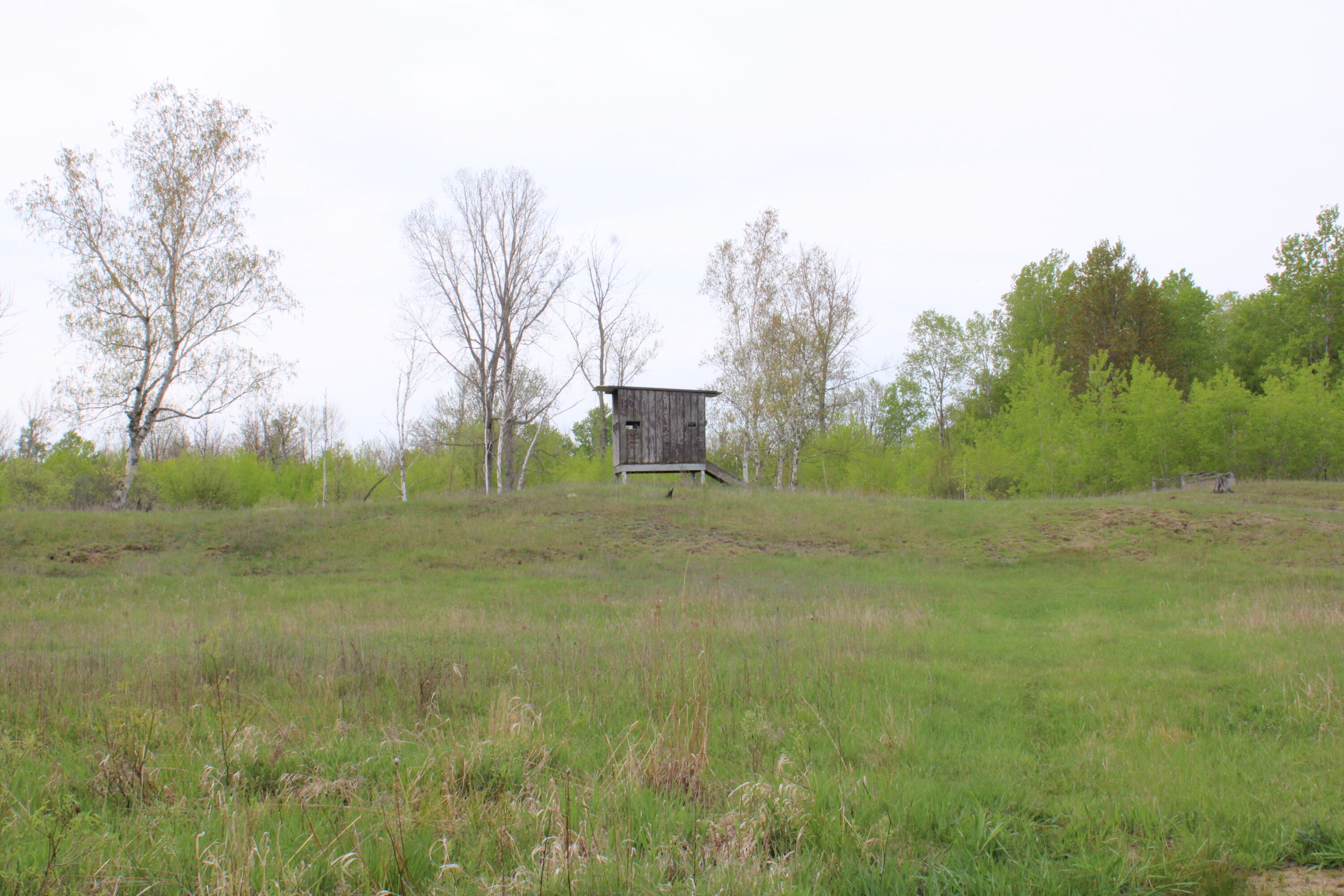Alabaster Road Turner, MI 48765 - Photo 18 of 21 IMG_2288