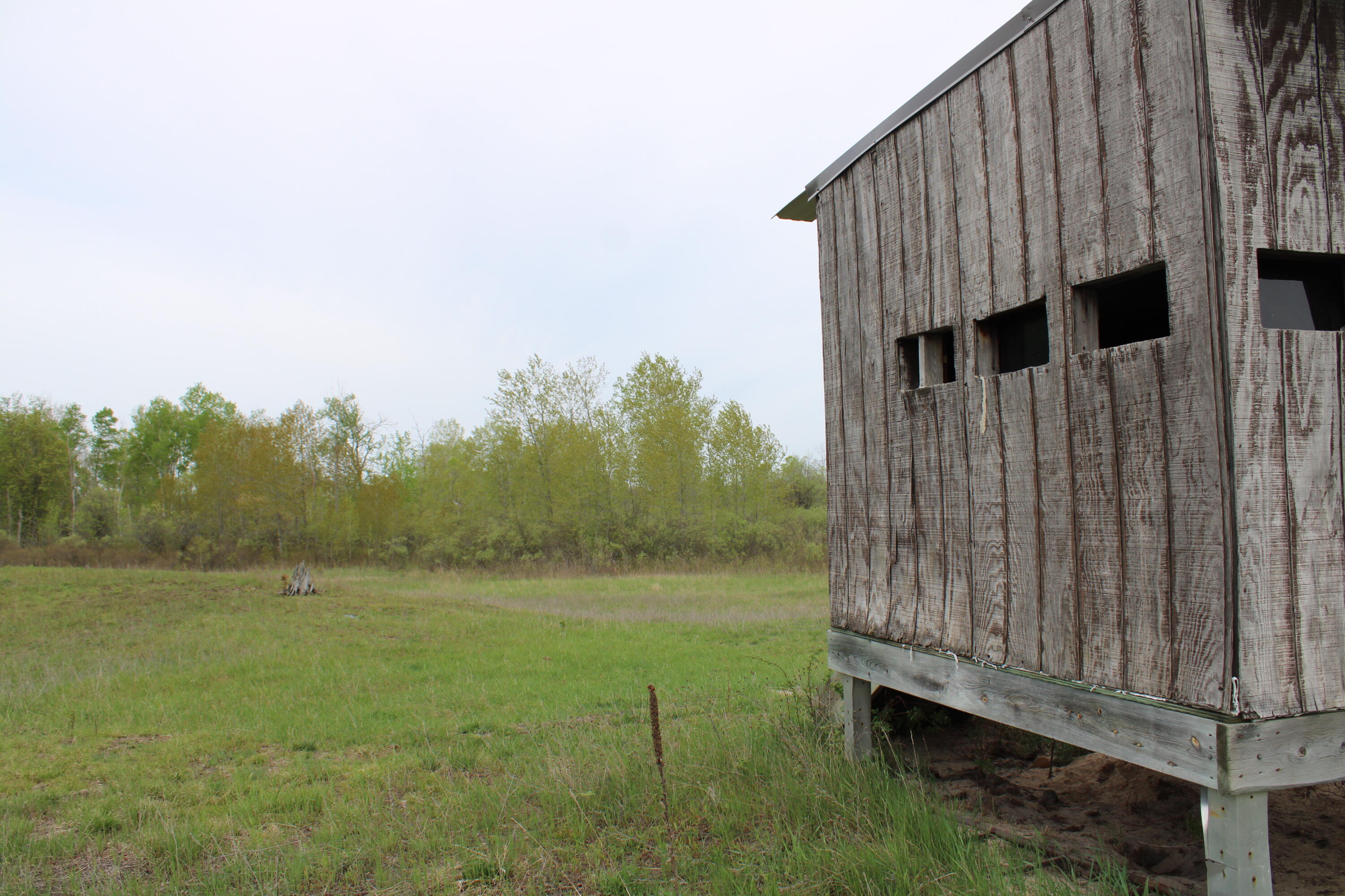 Alabaster Road Turner, MI 48765 - Photo 20 of 21 IMG_2290