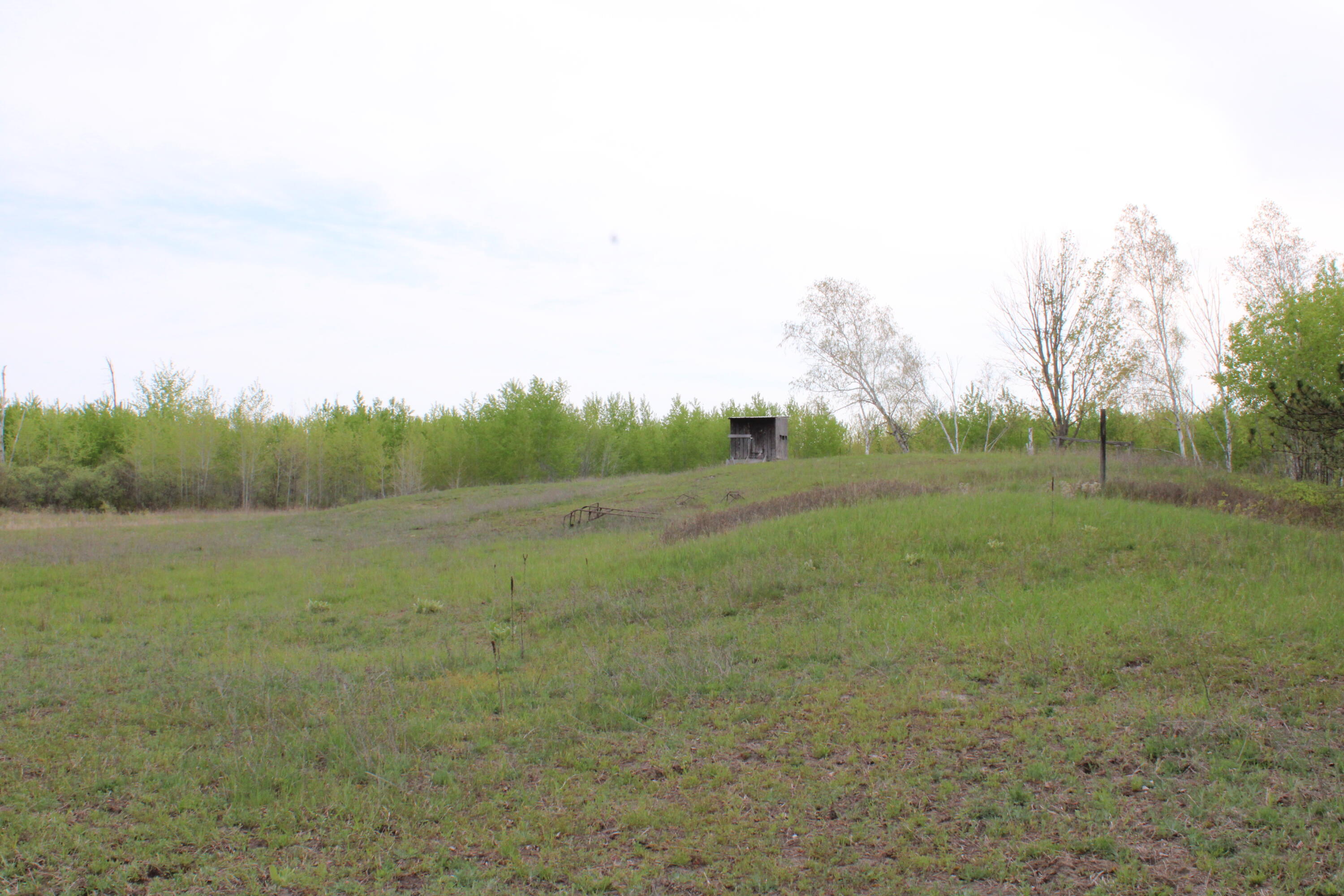 Alabaster Road Turner, MI 48765 - Photo 21 of 21 IMG_2291