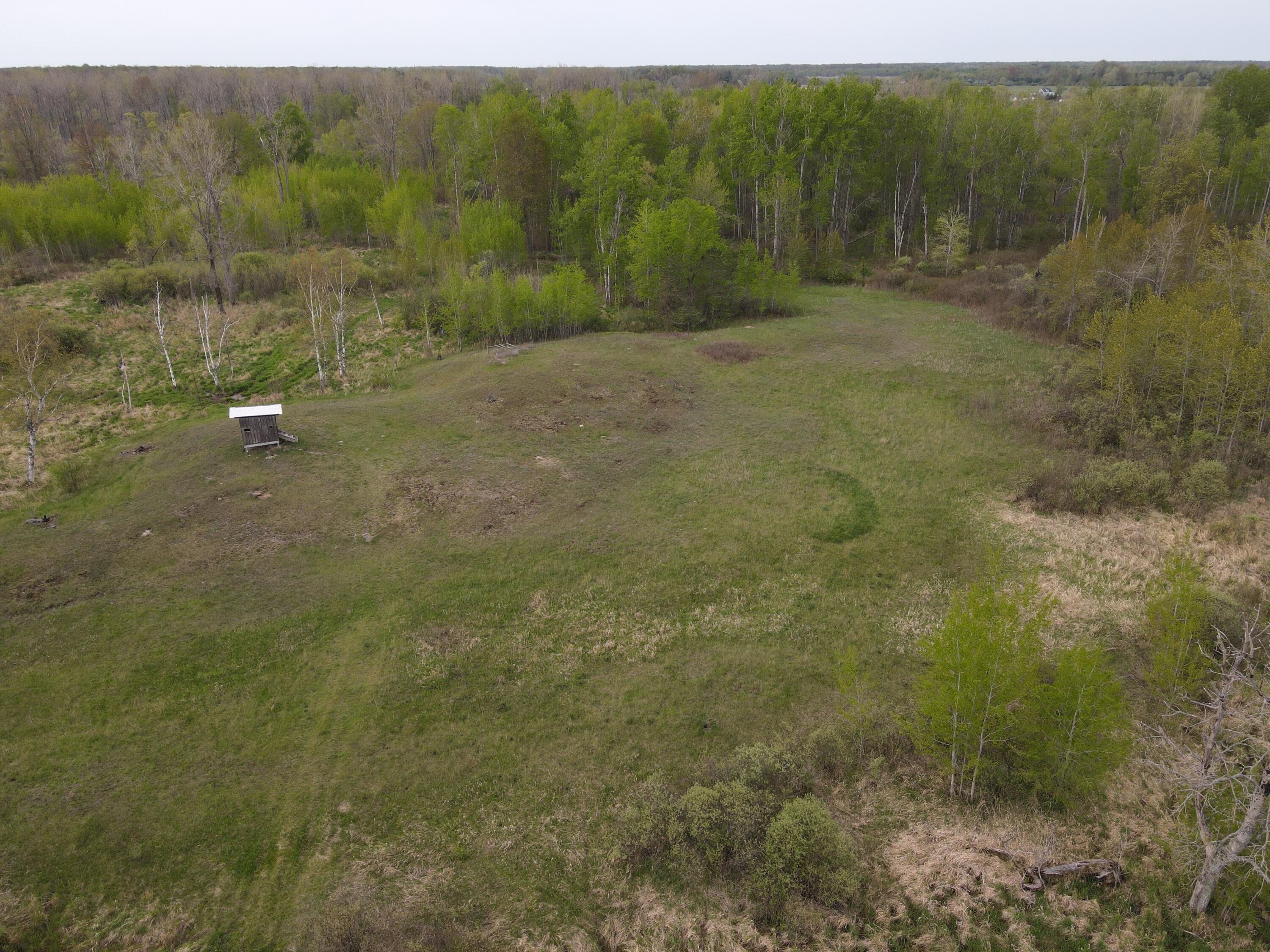 Alabaster Road Turner, MI 48765 - Photo 5 of 21 DJI_0343