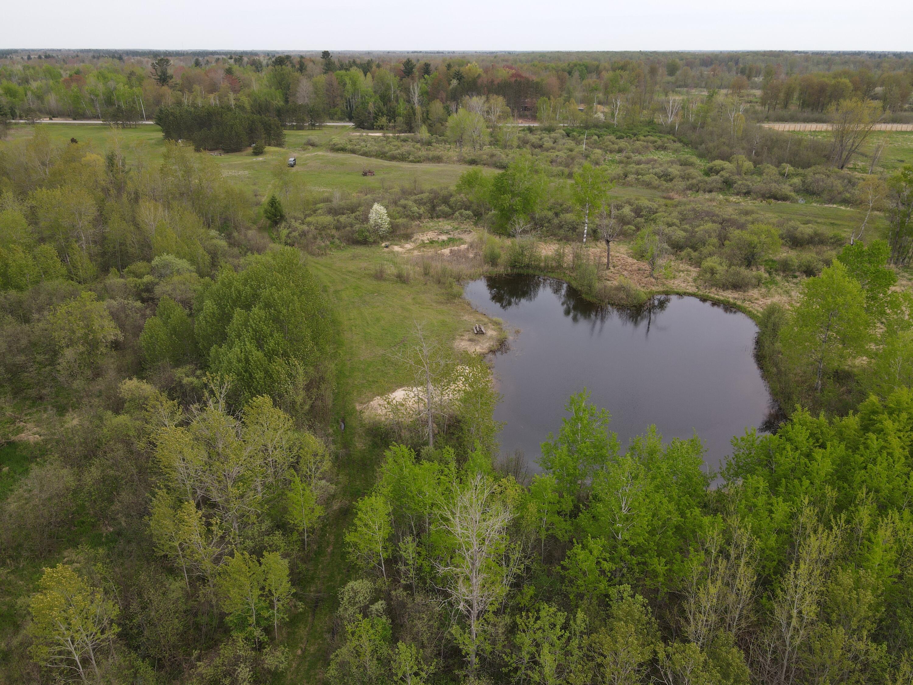 Alabaster Road Turner, MI 48765 - Photo 6 of 21 DJI_0344