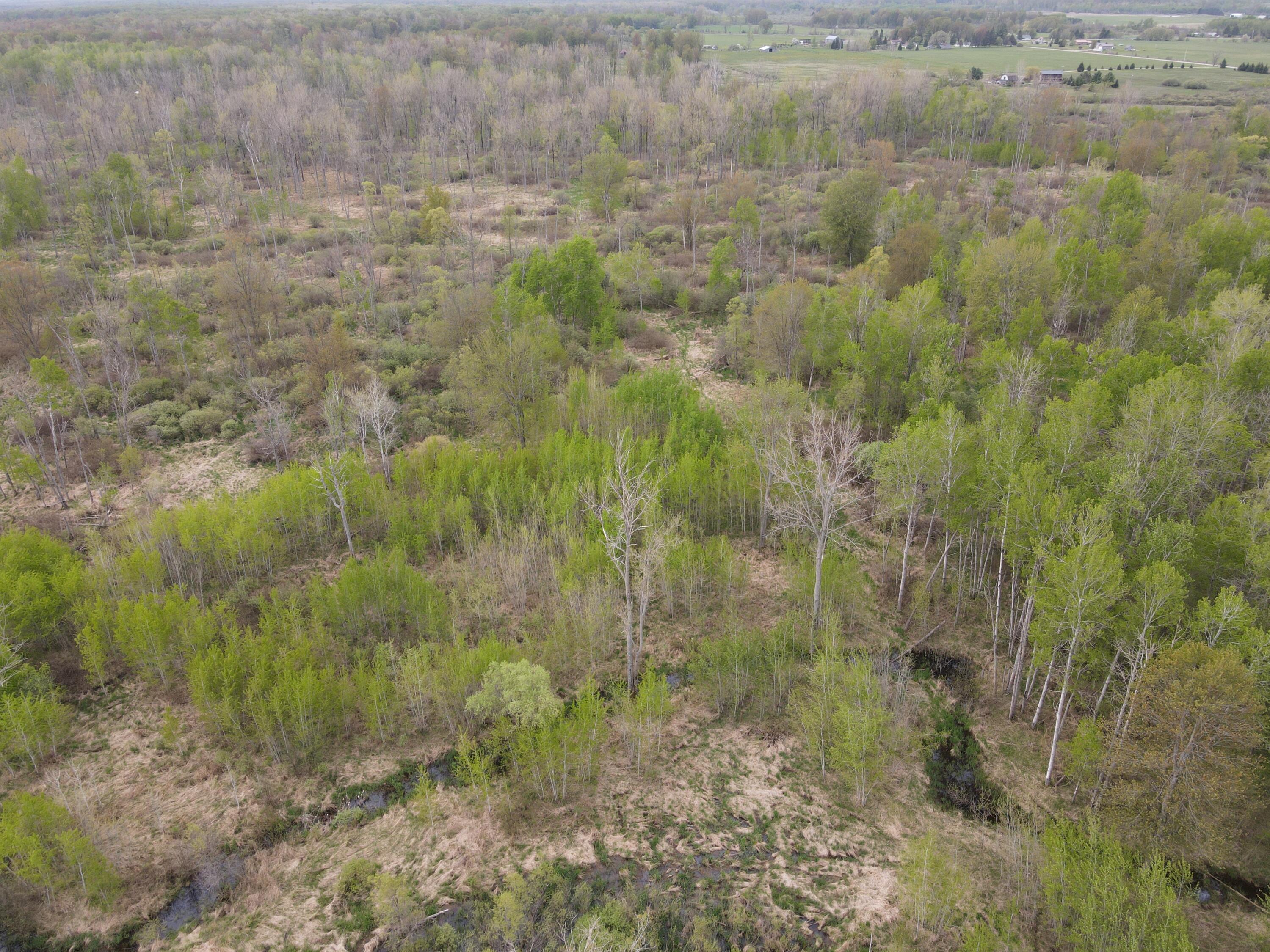 Alabaster Road Turner, MI 48765 - Photo 7 of 21 DJI_0345