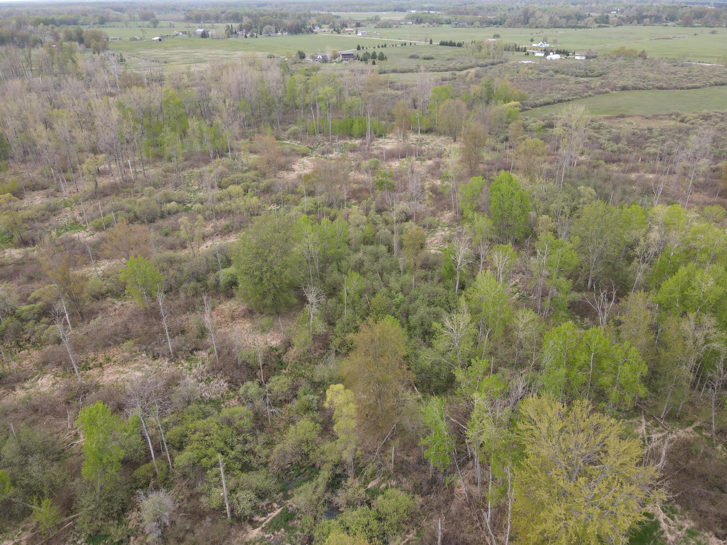 Alabaster Road Turner, MI 48765 - Photo 8 of 21 DJI_0346