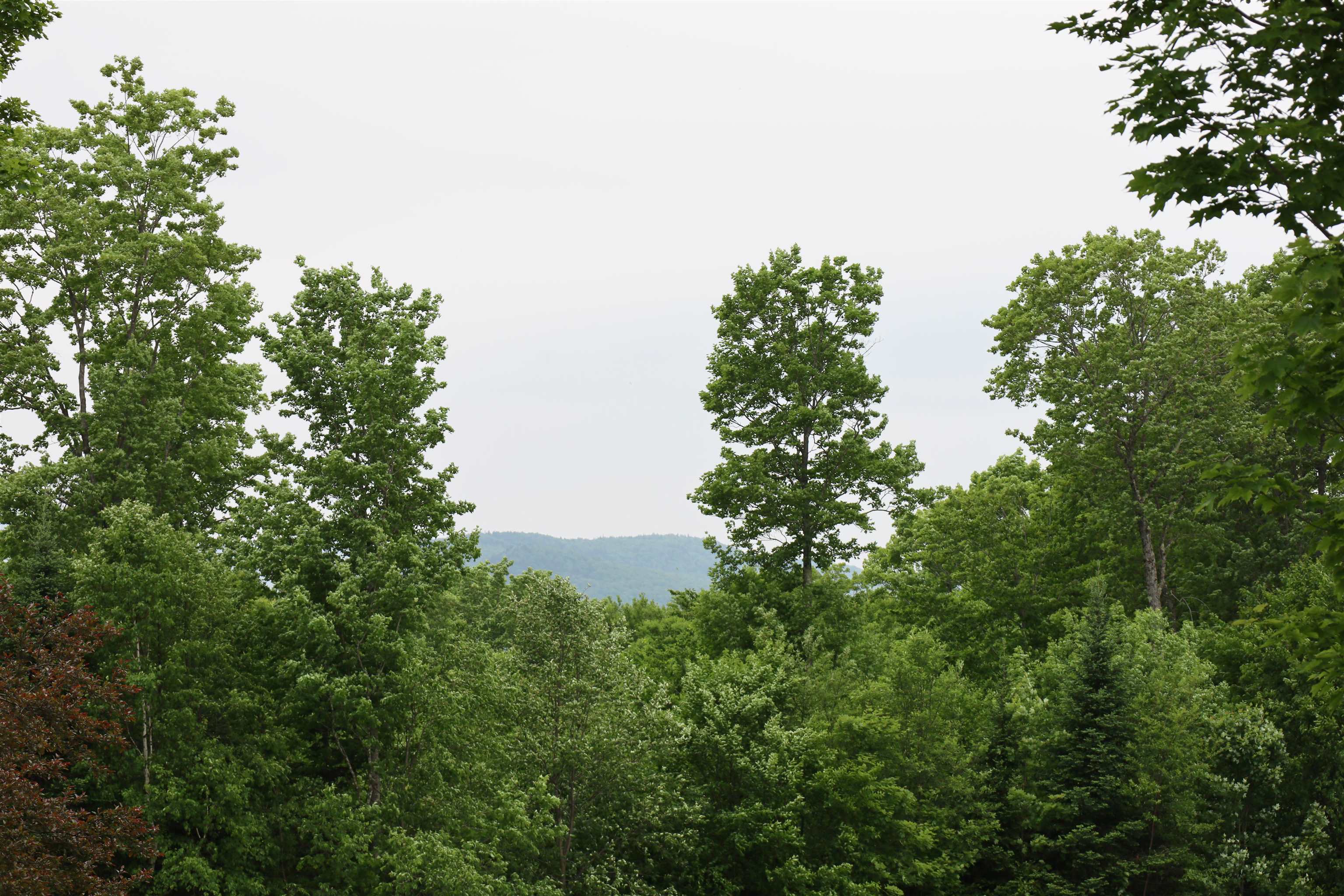 441 Radar Road East Haven, VT 05837 - Photo 23 of 59 Gallery Image 23