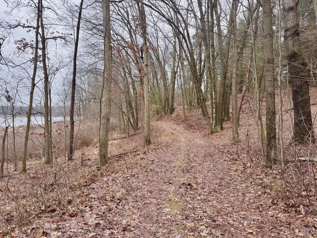 V/l Sindeler Road Branch, MI 49402 - Photo 1 of 24 easement to property