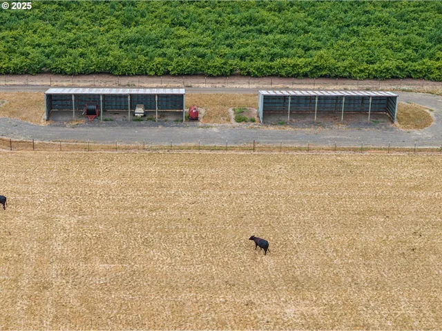 a view of a dry yard with wooden fence