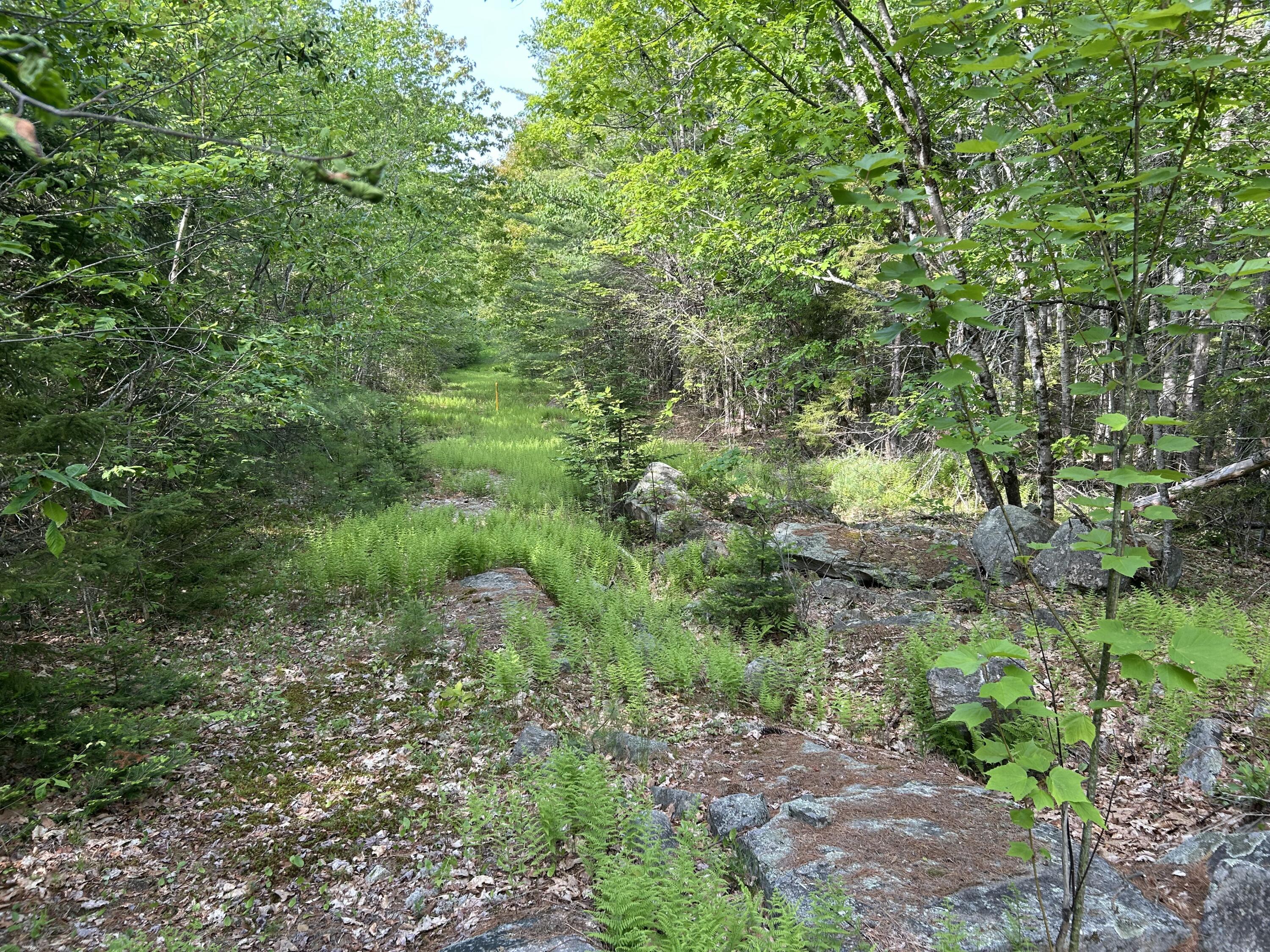 M5-l16 Clark Road Prospect, ME 04981 - Photo 28 of 45 IMG_8769