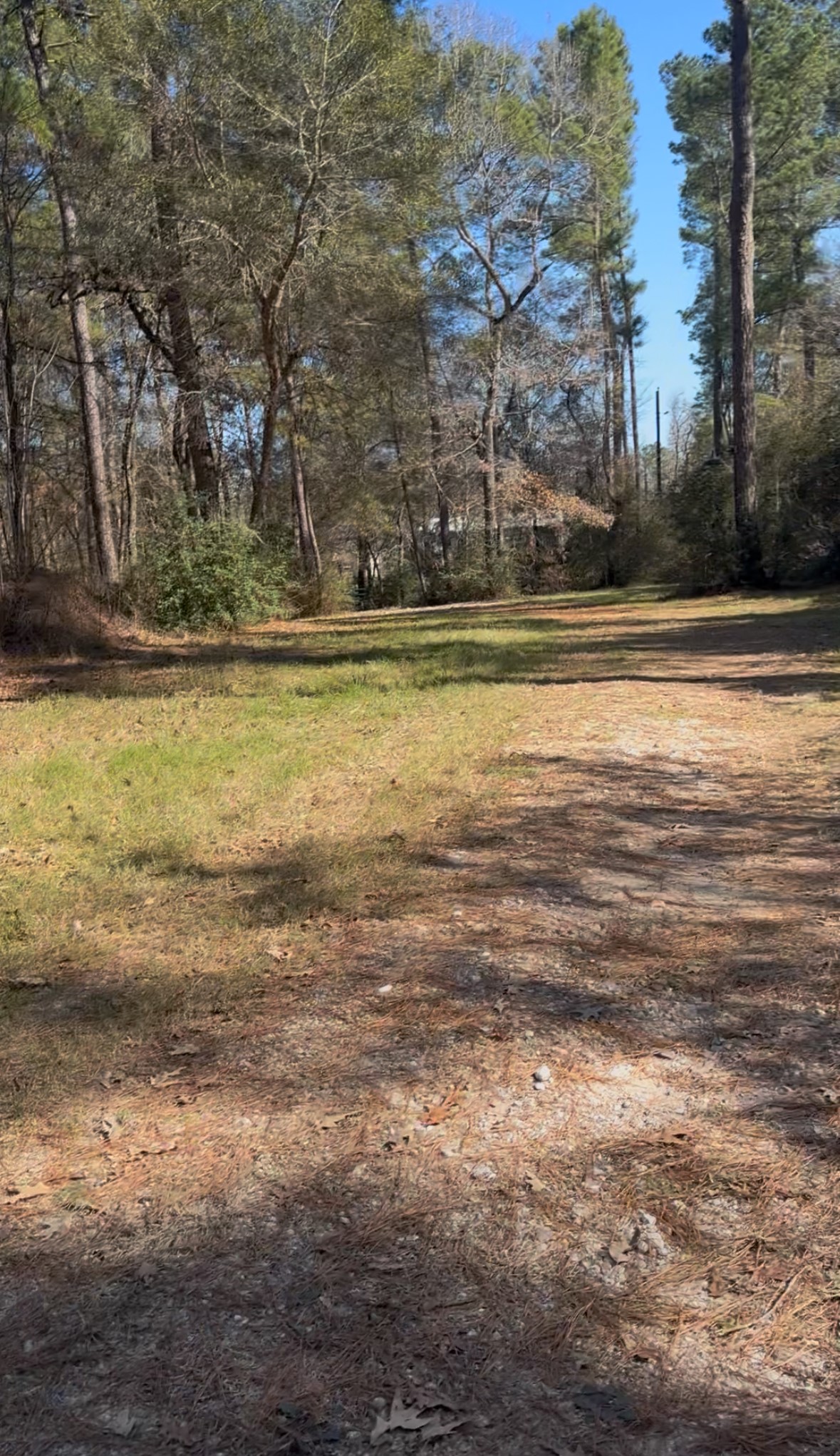 15901 Butera Road Magnolia, TX 77355 - Photo 6 of 6 a view of a yard with large trees