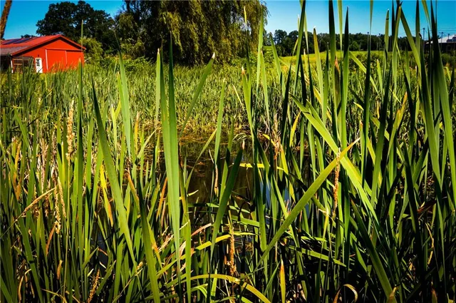 a view of a big room with wooden floor and furniture