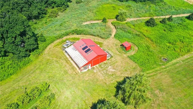 a view of a swimming pool with a garden