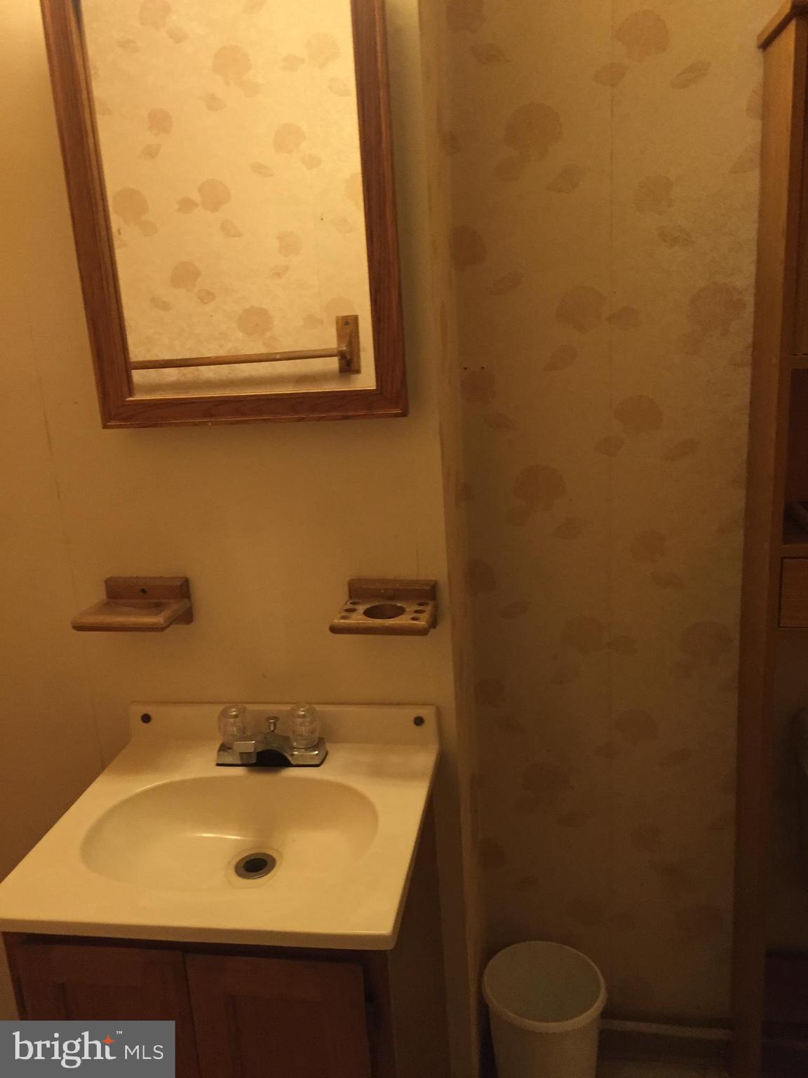 3694 Ridgeview Road Ijamsville, MD 21754 - Photo 22 of 24 Downstairs Full Bath