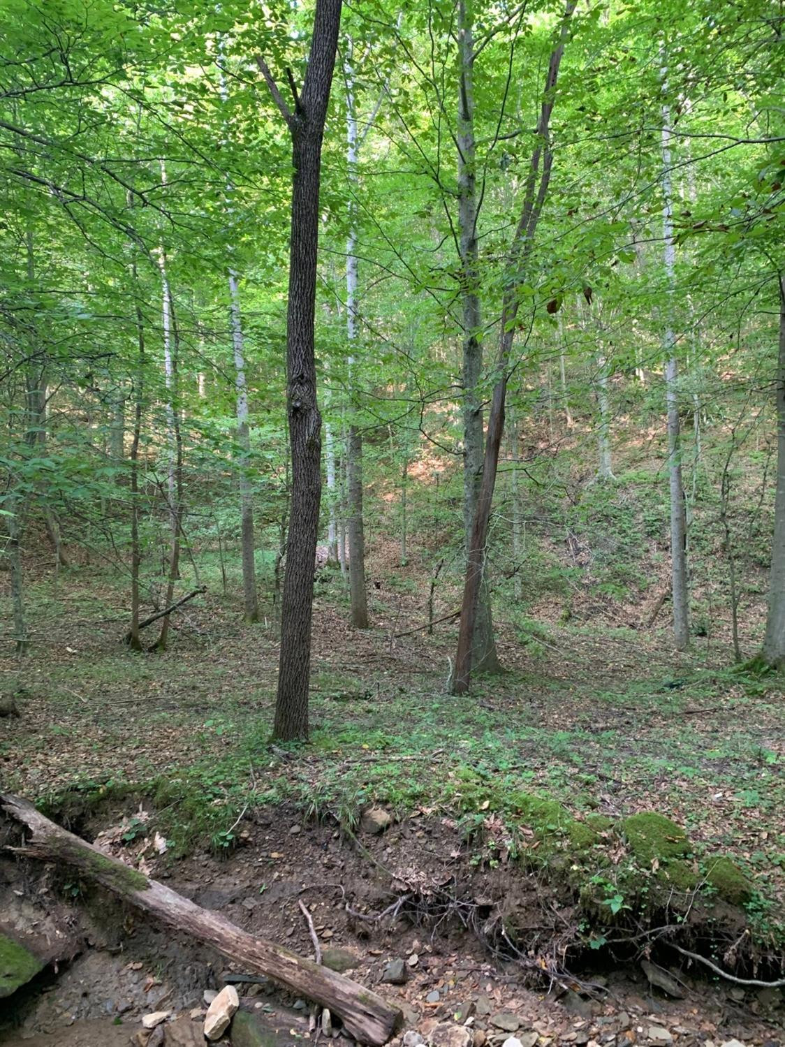 0 Upper Cane Creek Road Stanton, KY 40380 - Photo 34 of 34 Photo 36
