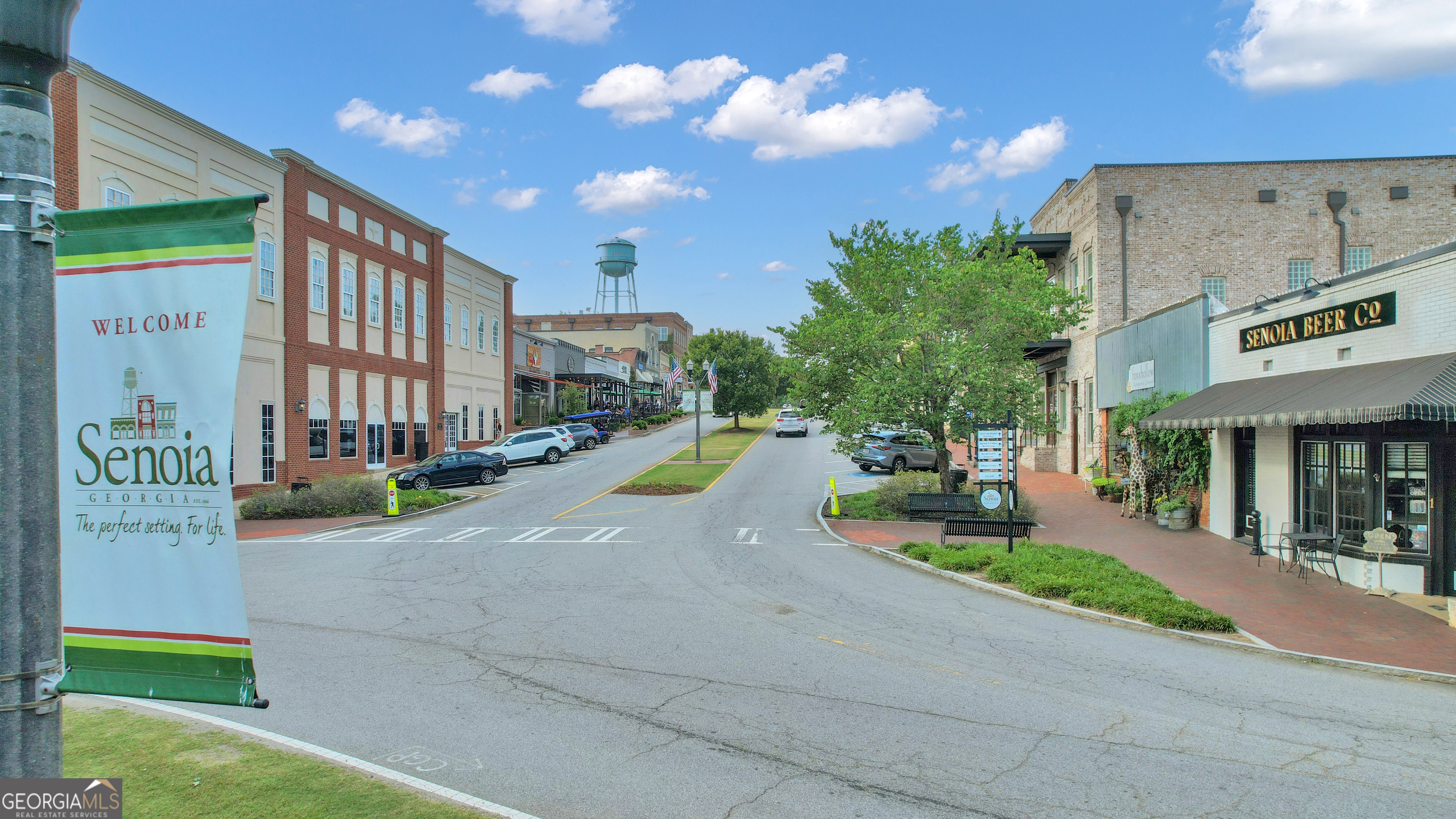 263 Bill Estes Road Senoia, GA 30276 - Photo 67 of 67