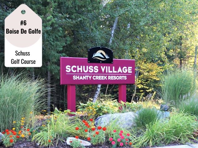 6 Rue De Montagne Road Mancelona, MI 49659 - Photo 1 of 2