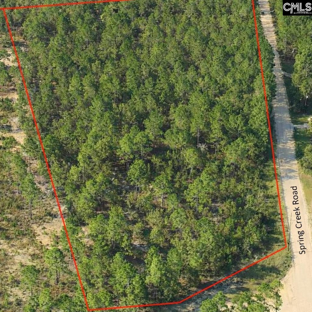 1 Spring Creek Road Lugoff, SC 29078 - Photo 3 of 12