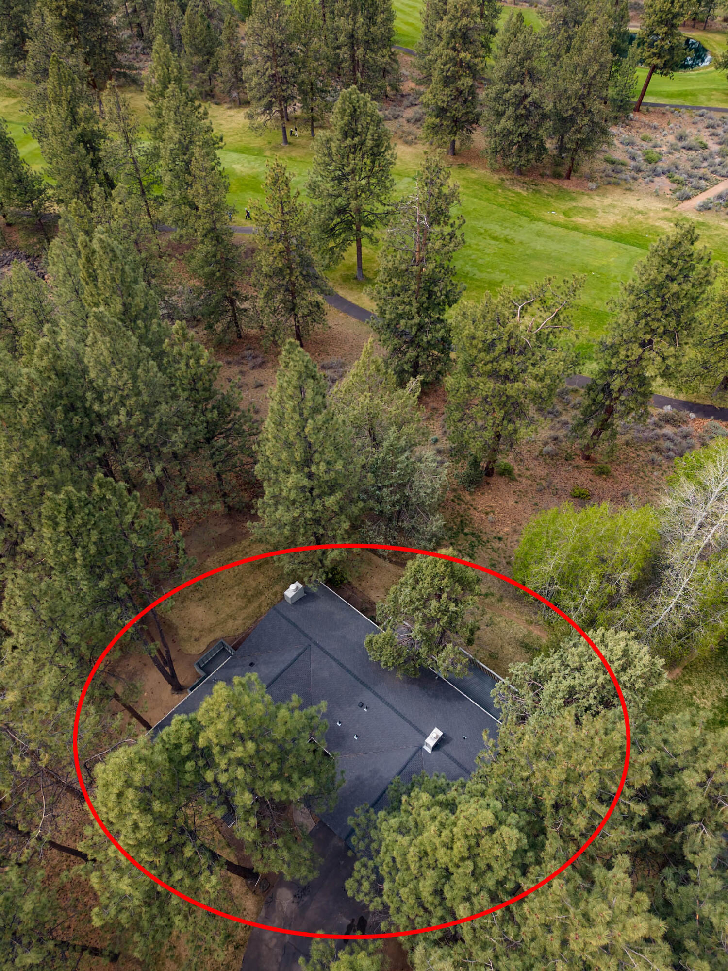 20316 Donkey Sled Road Bend, OR 97702 - Photo 44 of 50 a view of a garden with an outdoor space