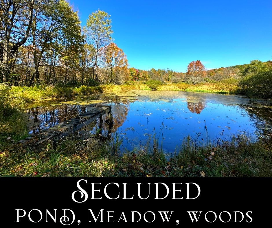 2195 Ed Klug Road Franklin, NY 13775 - Photo 1 of 1 Gallery Image 1