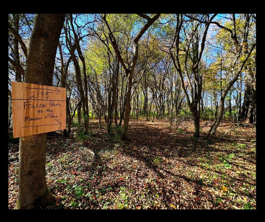 2195 Ed Klug Road Sidney Center, NY 13839 - Photo 11 of 15