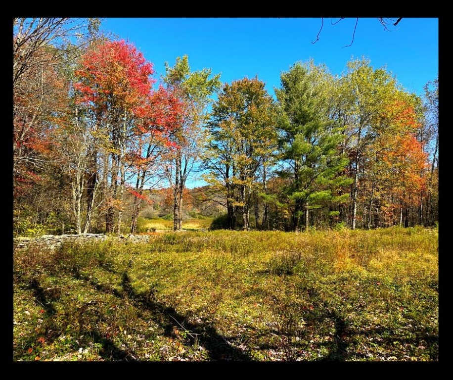 2195 Ed Klug Road Sidney Center, NY 13839 - Photo 12 of 15