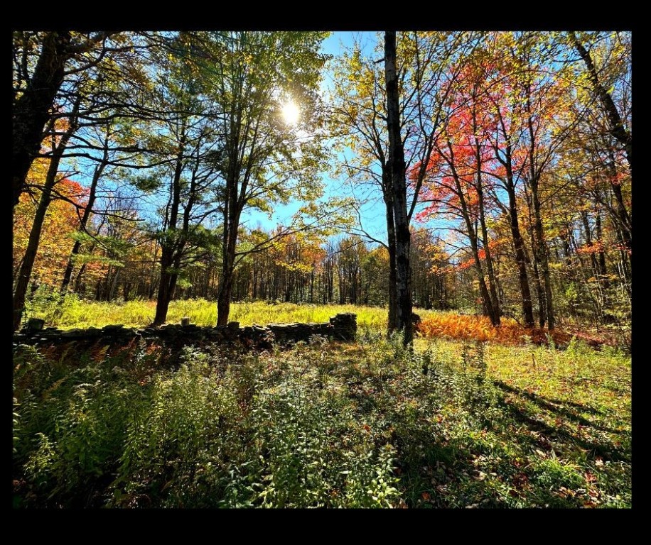 2195 Ed Klug Road Sidney Center, NY 13839 - Photo 2 of 15