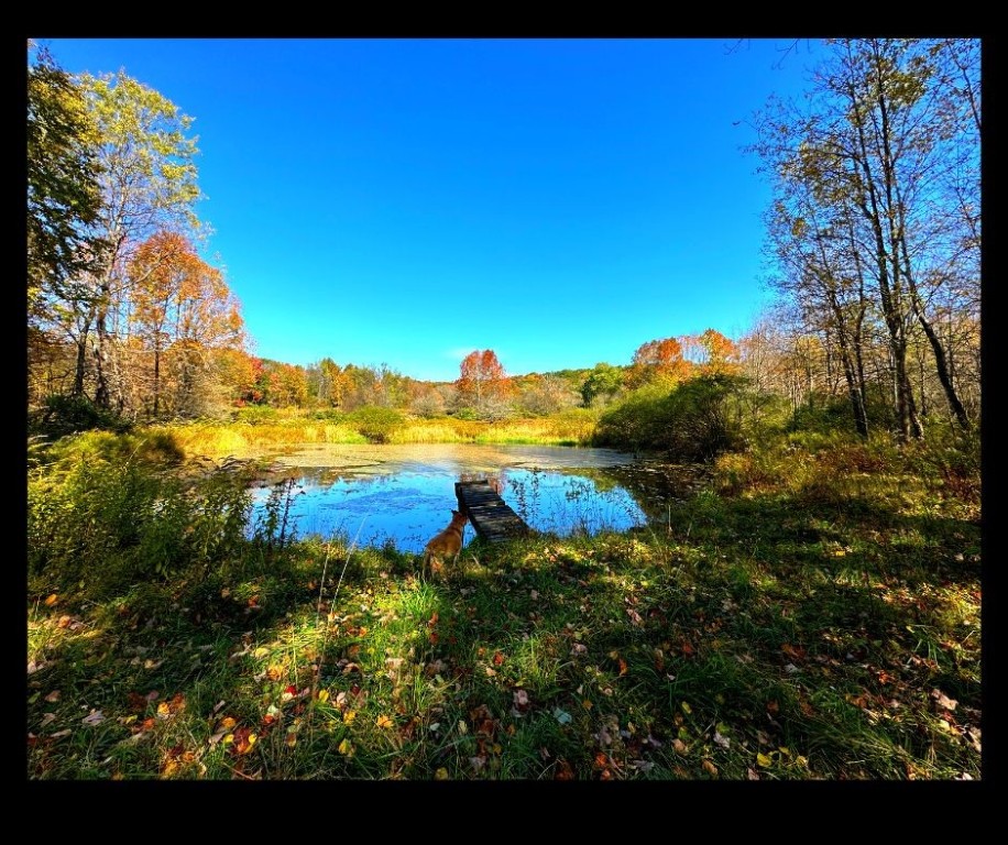 2195 Ed Klug Road Sidney Center, NY 13839 - Photo 4 of 15