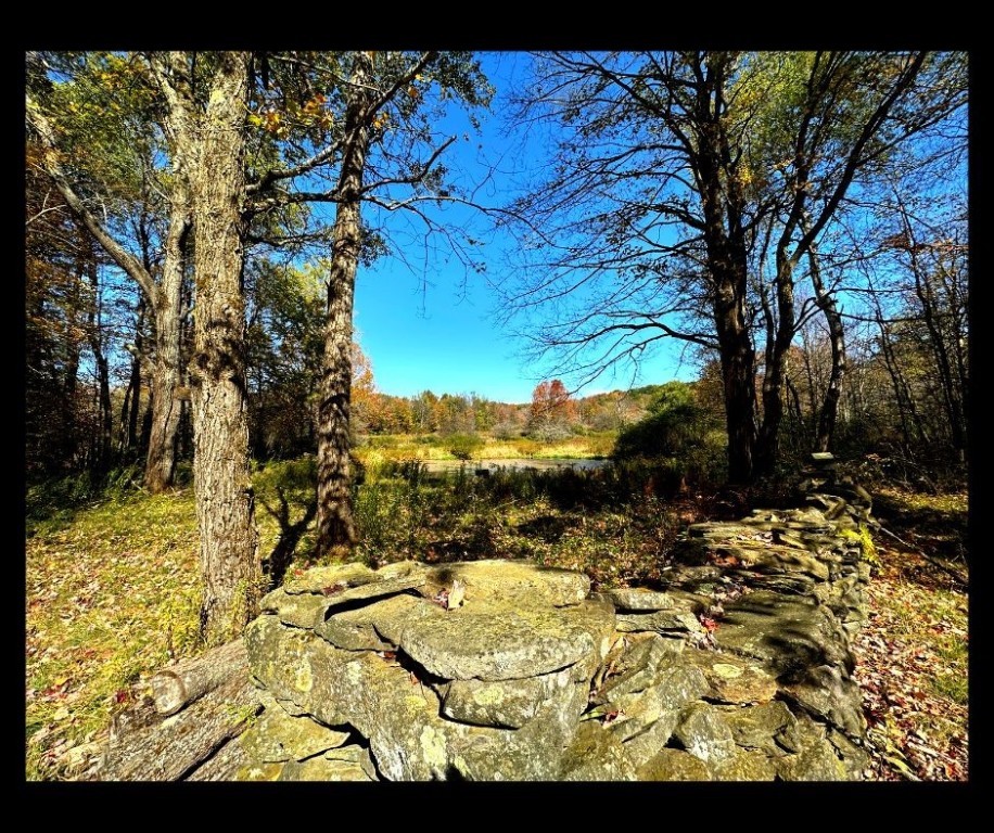 2195 Ed Klug Road Sidney Center, NY 13839 - Photo 6 of 15