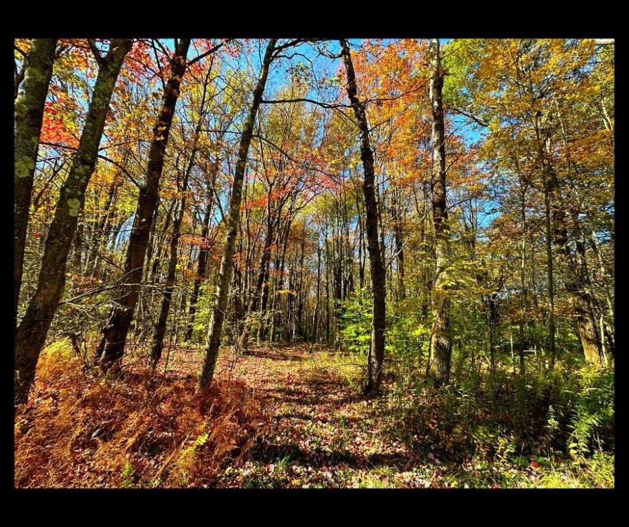 2195 Ed Klug Road Sidney Center, NY 13839 - Photo 9 of 15