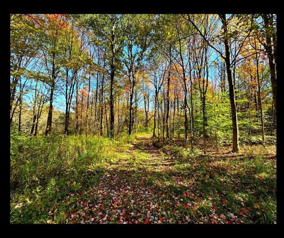 2195 Ed Klug Road Sidney Center, NY 13839 - Photo 10 of 15