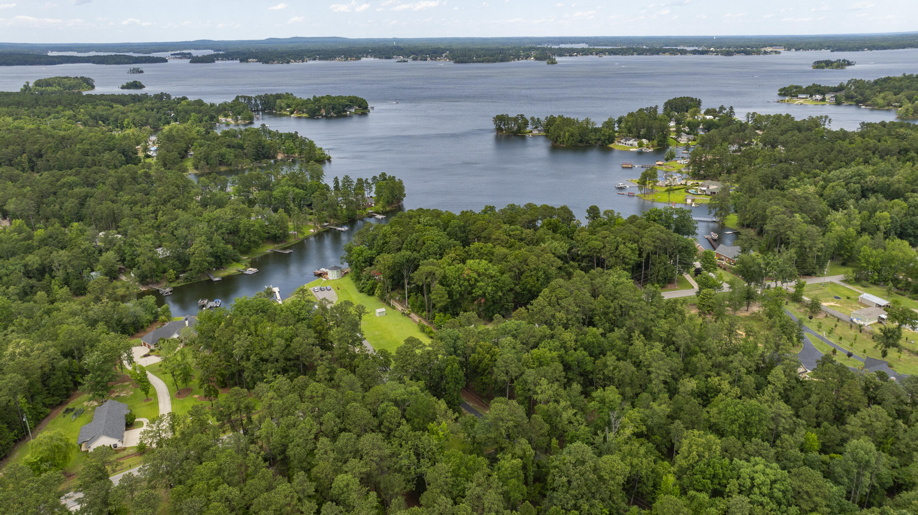 1239 Shull Island Road Gilbert, SC 29054 - Photo 4 of 52