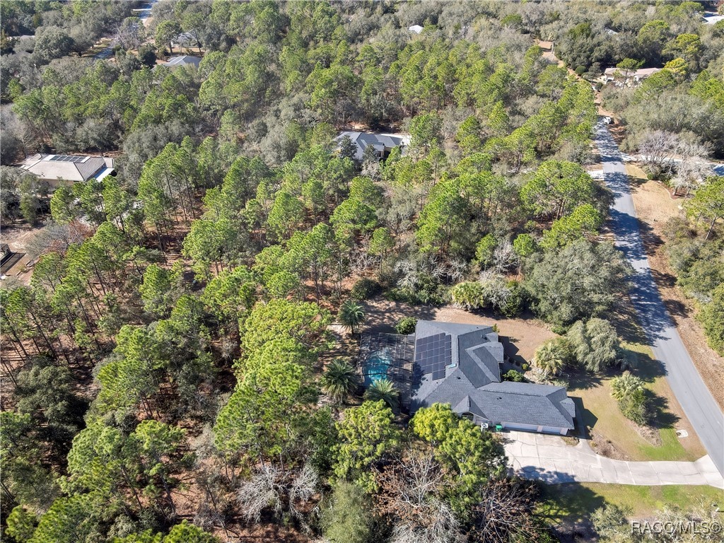 3921 North Longvalley Road Hernando, FL 34442 - Photo 10 of 11