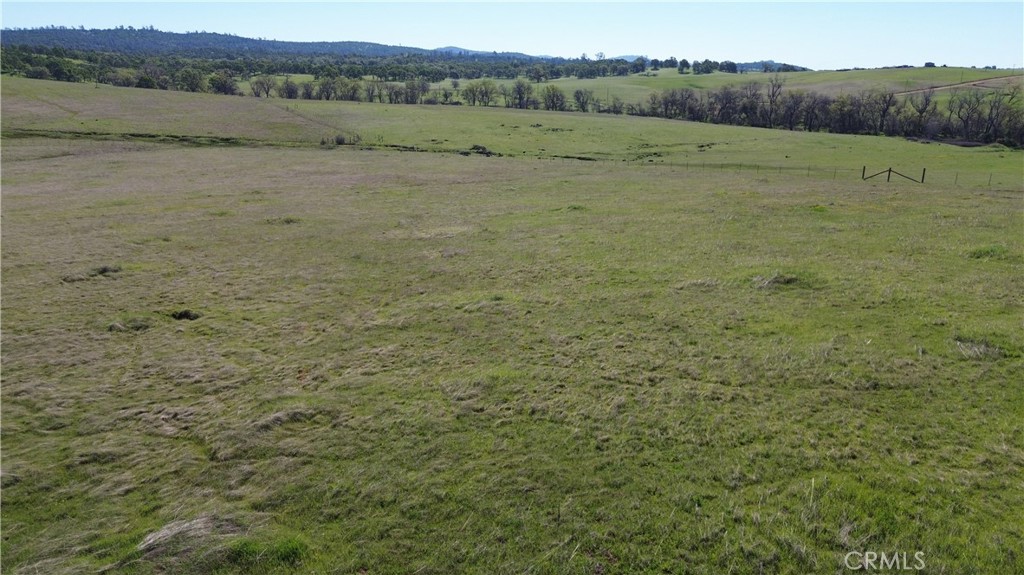 0 Blanco Oak Road Oroville, CA 95966 - Photo 5 of 15